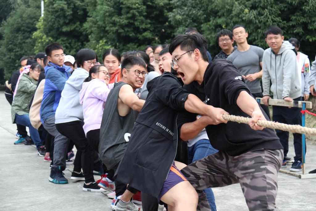 永利3044集团官网