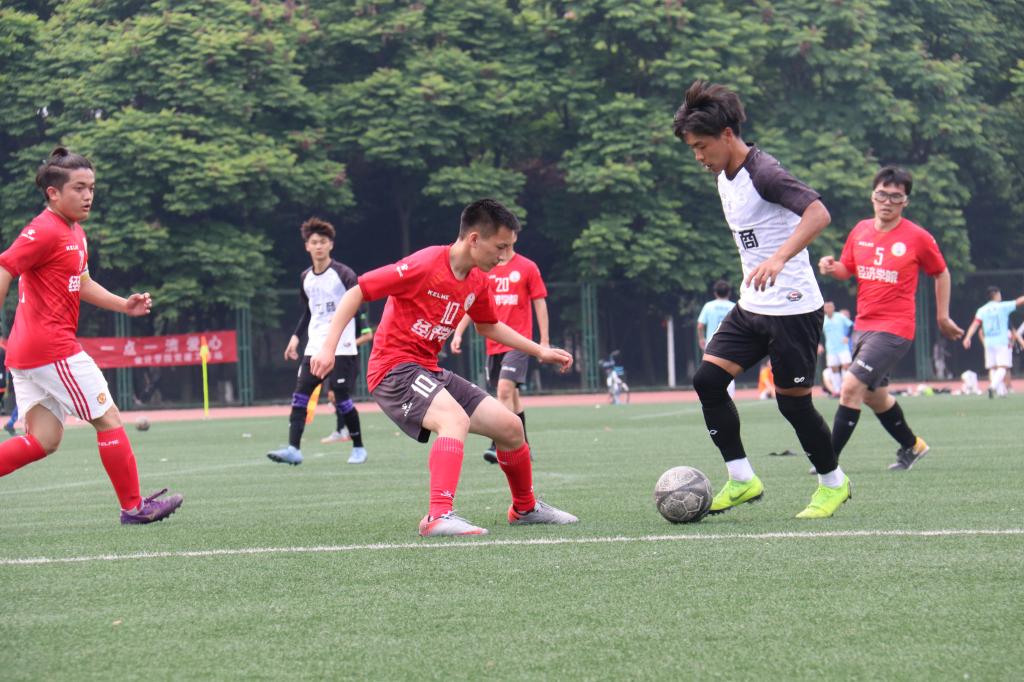 永利3044集团官网