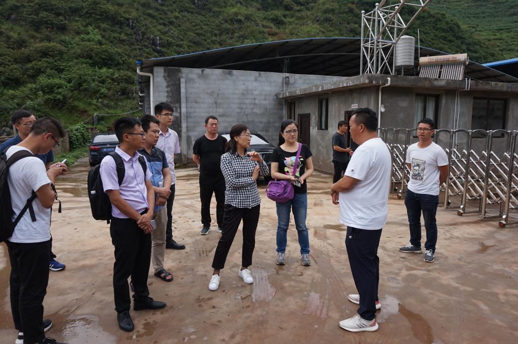 永利3044集团官网